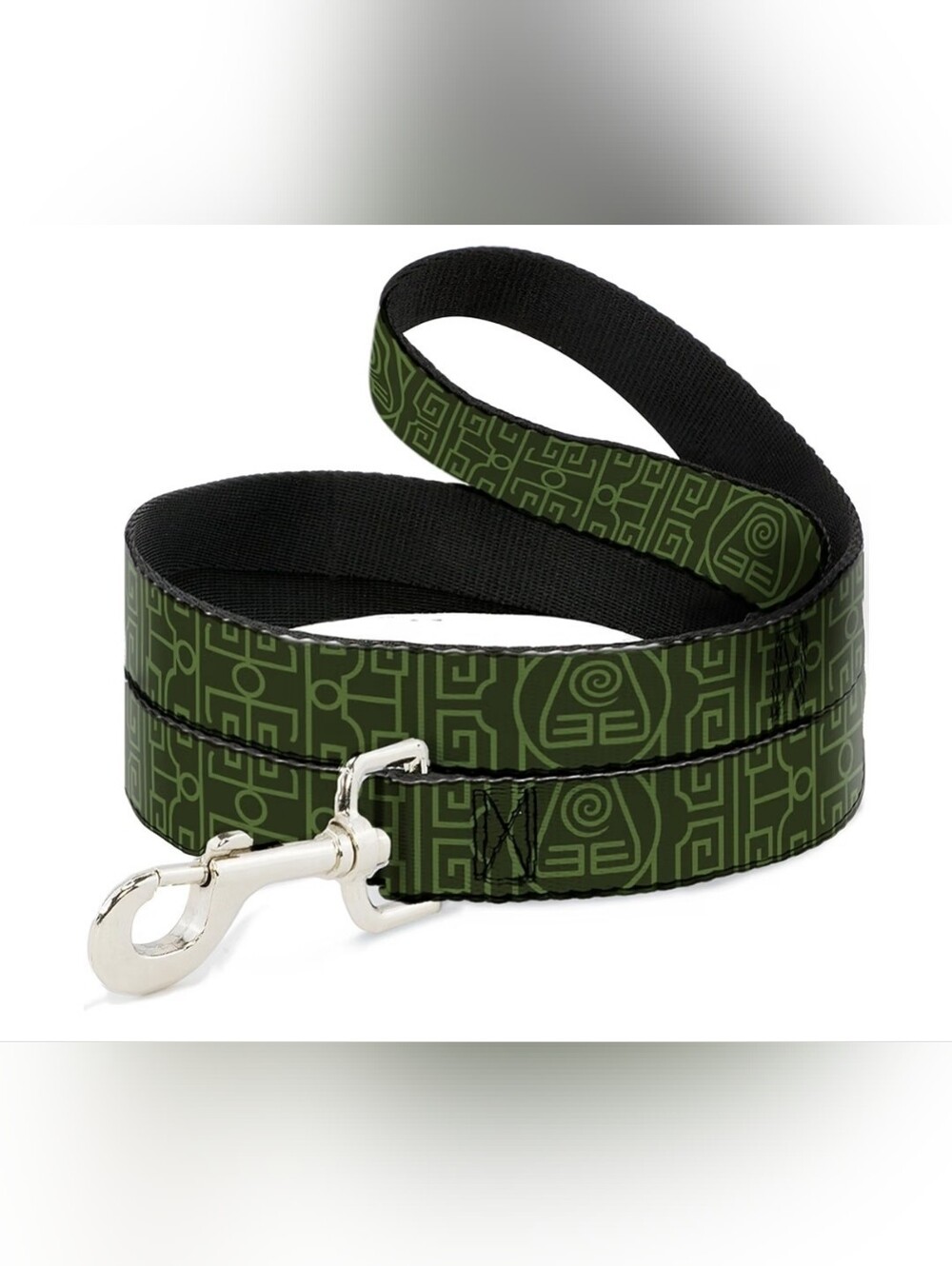 Buckle-Down 6ft Long Wide Dog Leash - Avatar the Last Airbender Earth Element